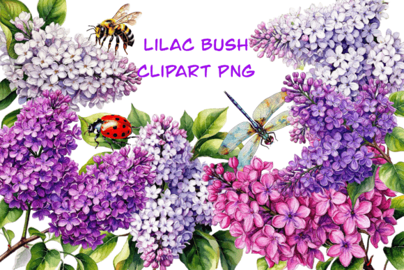 Clipart Lilac Bush: A Practical Asset for Design and Craft