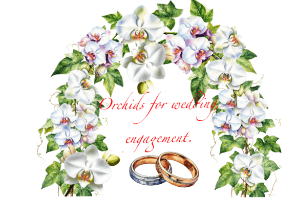 Orchids for a Wedding Engagement Clipart