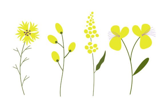Set with Bloom Yellow Flowers: A Versatile Design Resource for Spring and Summer Projects