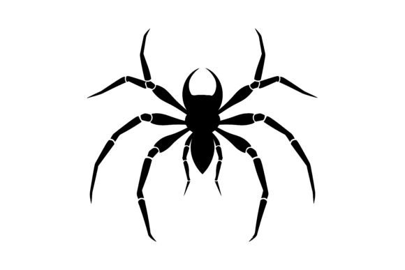 Spider Silhouette and Web Vector Graphics: A Practical Evaluation