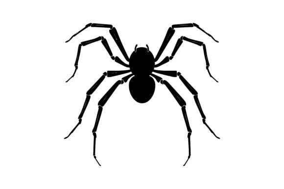 Spider Web Silhouette, Trap: The Ultimate Vector Resource for Creators